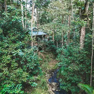 Lodge Narrows Escape Rainforest Retreat